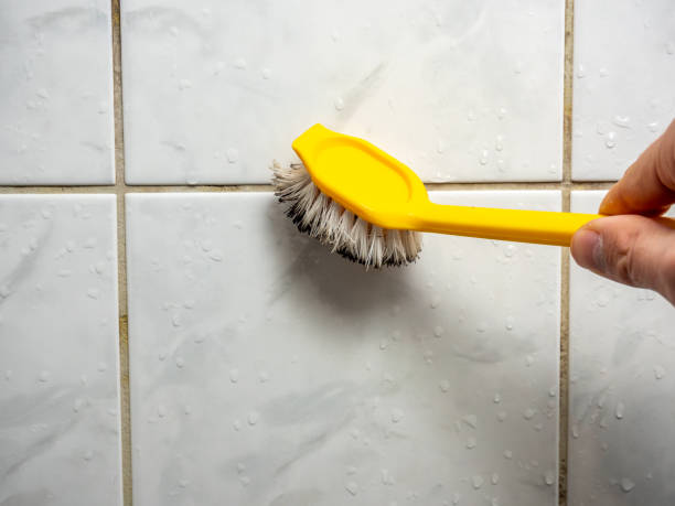 Best Fast Mold Removal  in Penngrove, CA