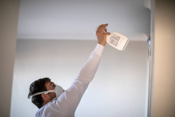 Best Mold Removal and Inspection  in Penngrove, CA