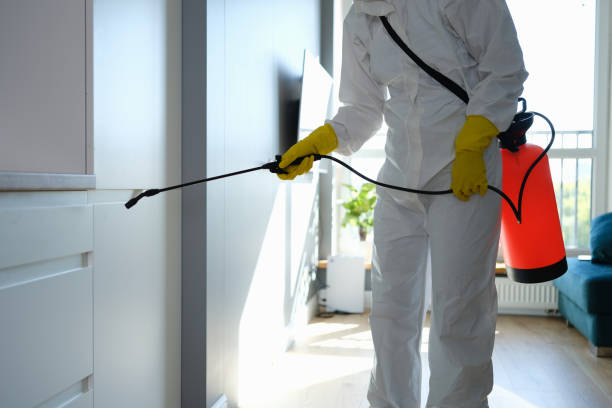 Best Residential Mold Removal  in Penngrove, CA