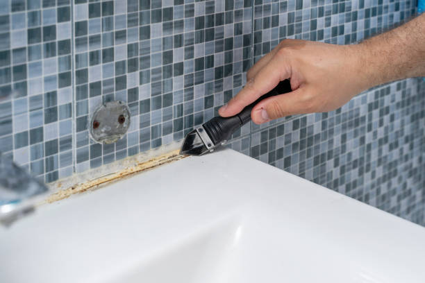 Best Professional Mold Removal  in Penngrove, CA